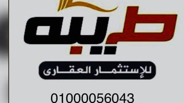 شركة طيبة للعقارات - صورة 2