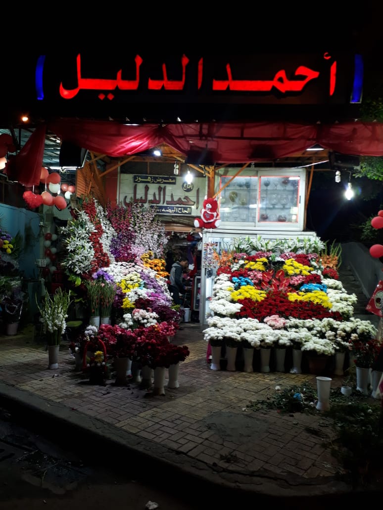 أحمد الدليل - صورة 2