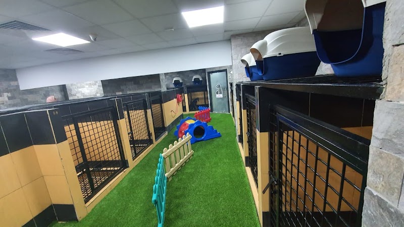 مركز بى دبليو سى البيطرى - صورة 2