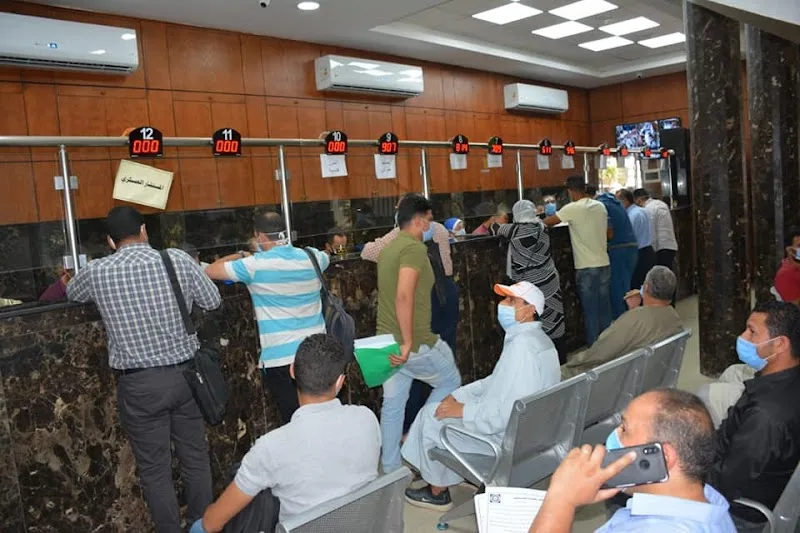 البنك الأهلي المصري فرع محافظة الدقهلية - NBE Dakahlia branch - صورة 3