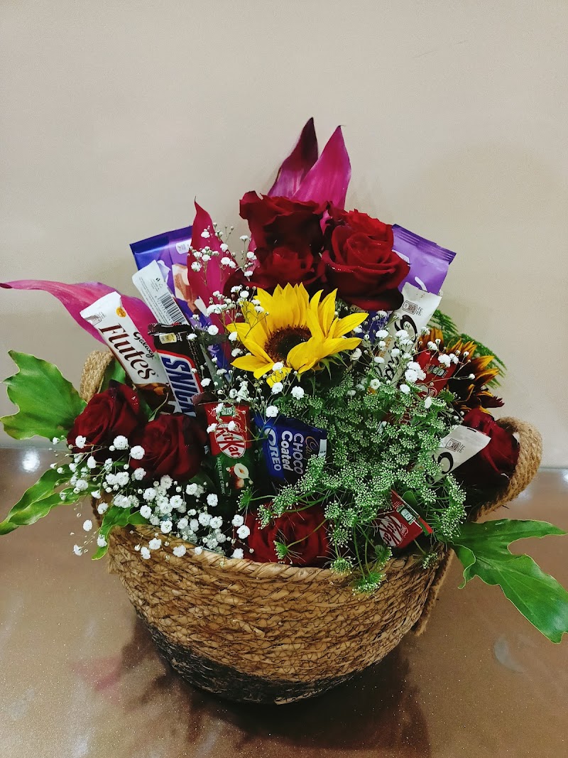 زهور تيوليب Tulips - Photo 3