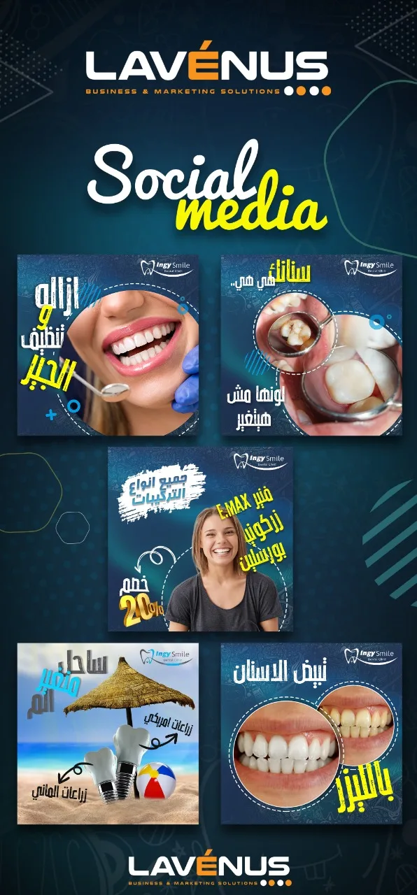 Lavenus شركة تسويق إلكتروني بالإسكندرية - Photo 1