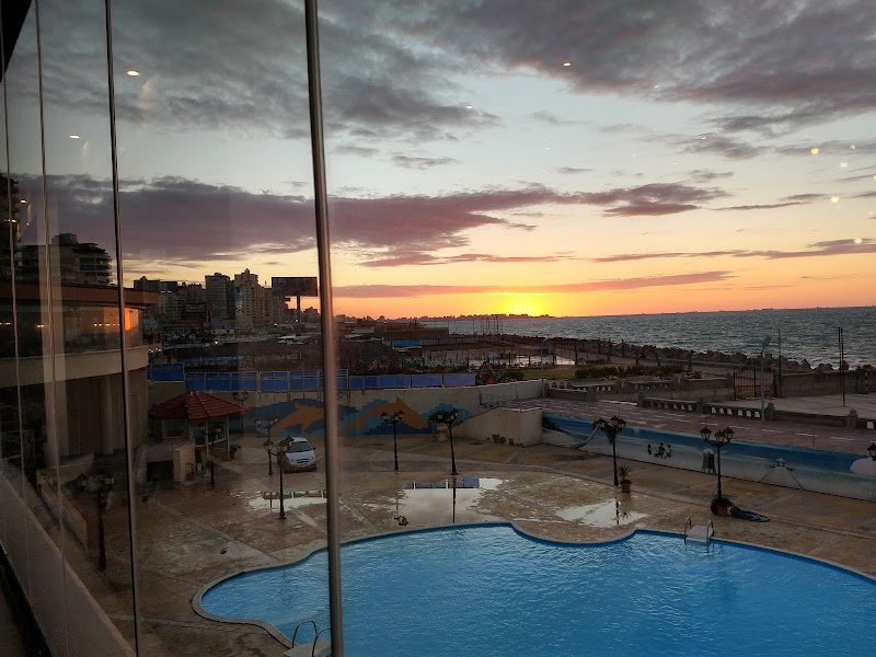 Ebn El Balad Gleem - صورة 2