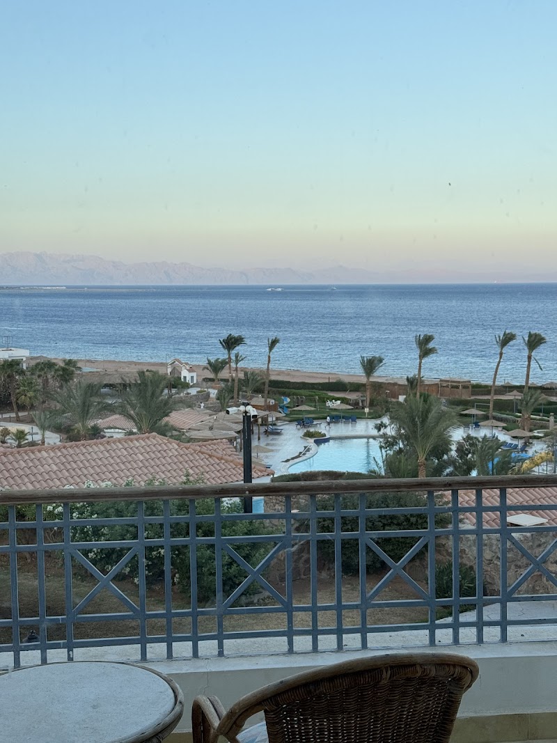 GOLD STARS TRAVEL - Photo 1