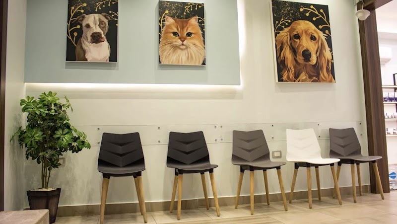 Animal Planet Clinic