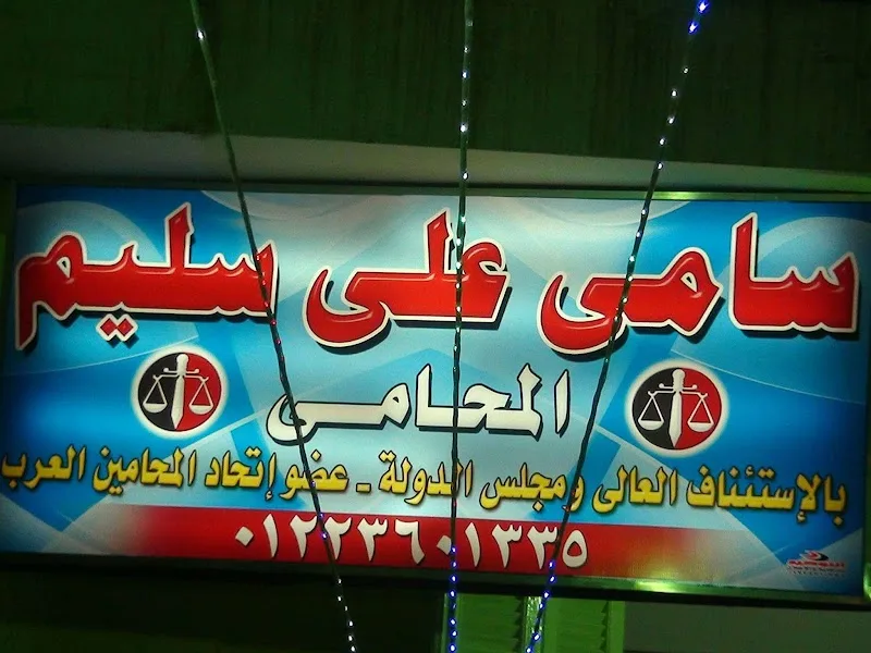 Samy Aly Selim - Photo 3