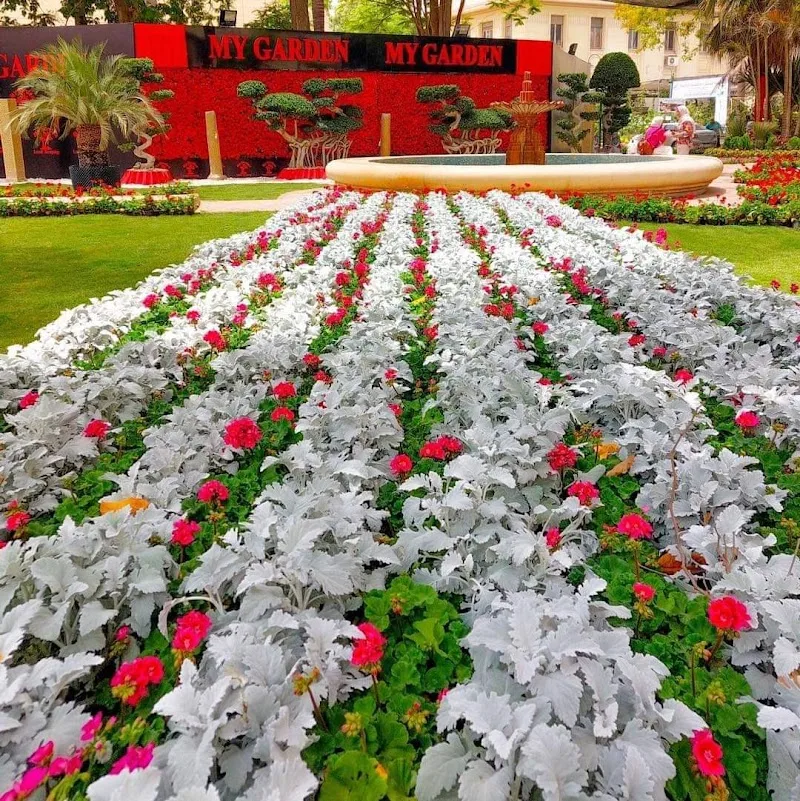 المتحف الزراعي - صورة 1