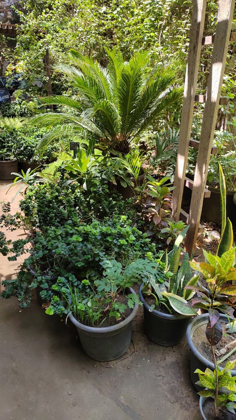 مشتل الدقي - صورة 3