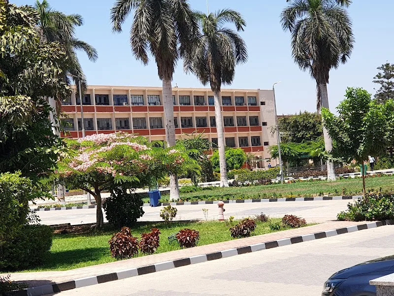Faculty Of Agriculture - Ain Shams University