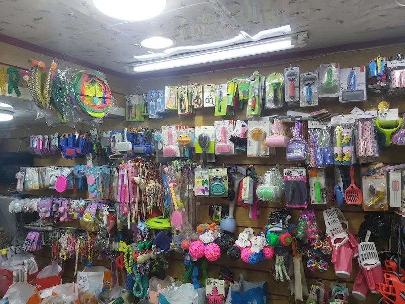 Pets Kingdom - Photo 1