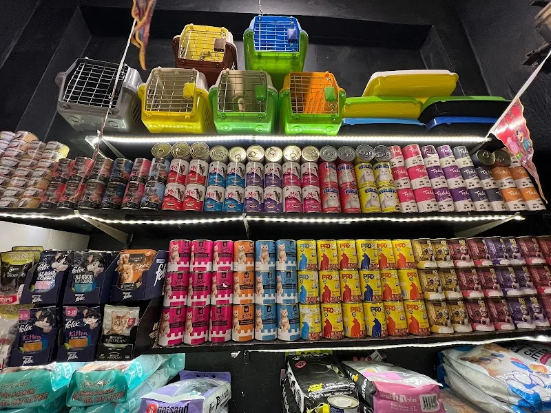Bondok pets shop - صورة 2