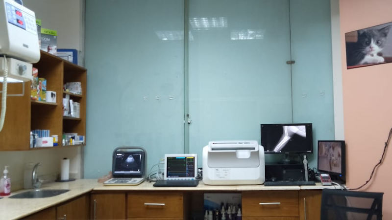 Pet Cure Veterinary Clinic New Cairo