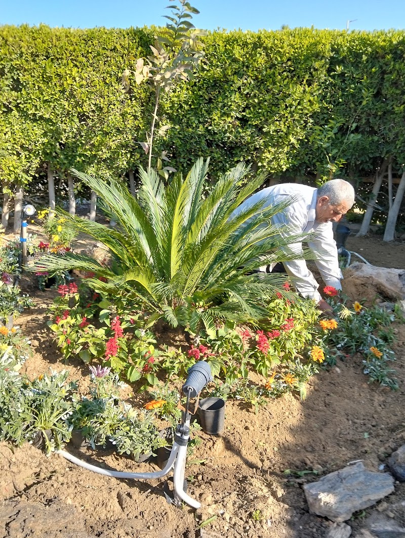 مشتل الاسكندريه - صورة 1