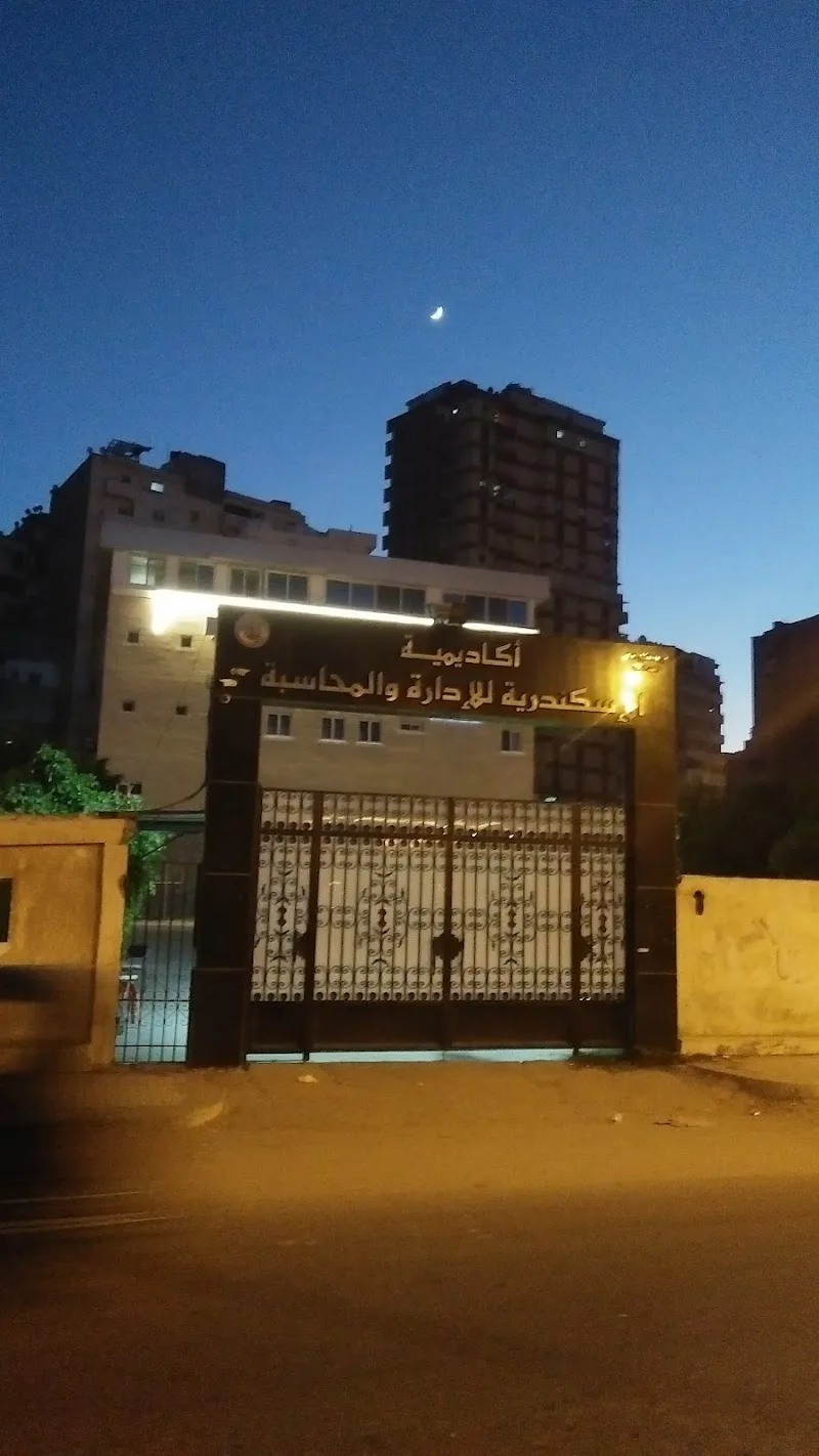 المعهد المصري لأكاديمية الإسكندرية للإدارة والمحاسبة - صورة 2