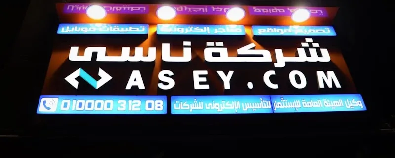 شركة ناسى للتجارة الإلكترونية