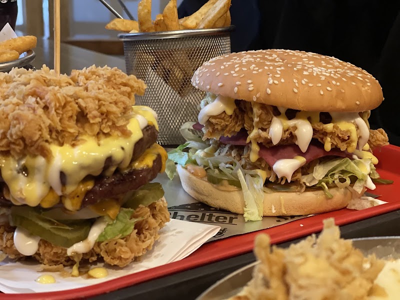 Shelter (house of cheese) - صورة 1