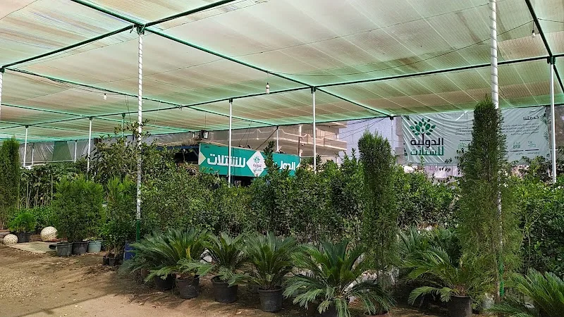 الدولية للشتلات - صورة 3