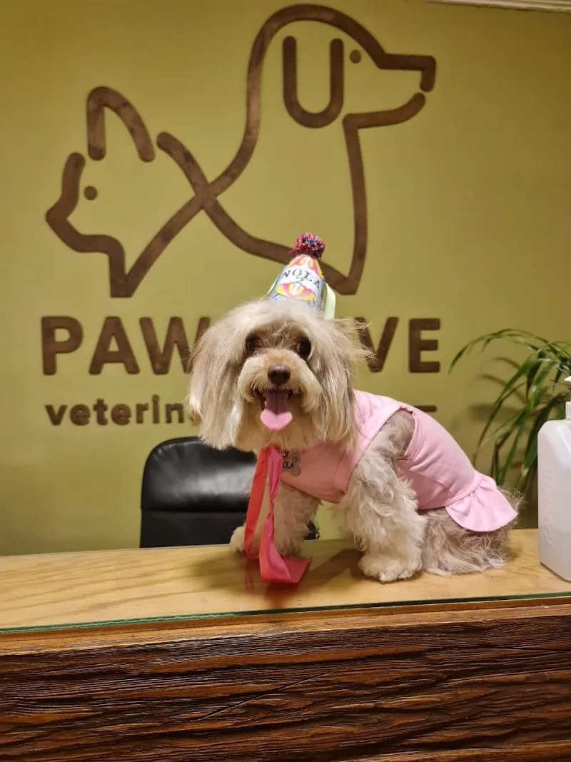 Pawsitive Veterinary Clinic - Photo 2