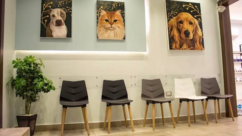 Animal Planet Clinic