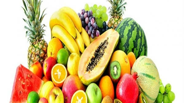 مشاتل إدكو الاستوائية