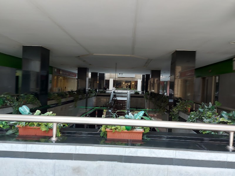 Ever Green - Photo 2