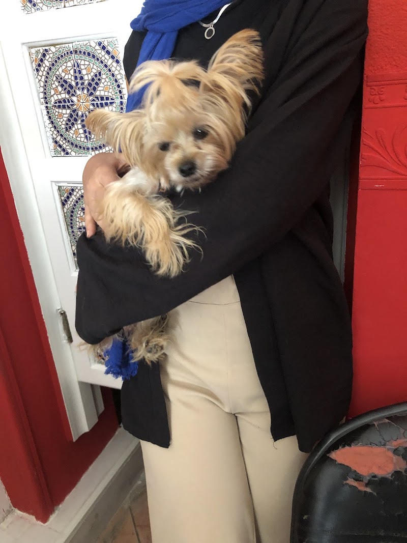 Tito pet shop - صورة 2