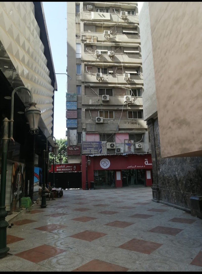 شركة الدقى لتوظيف العمالة المصرية بالخارج ترخيص ١٦٣ - صورة 1