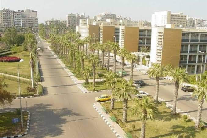 Mansoura University - Photo 1