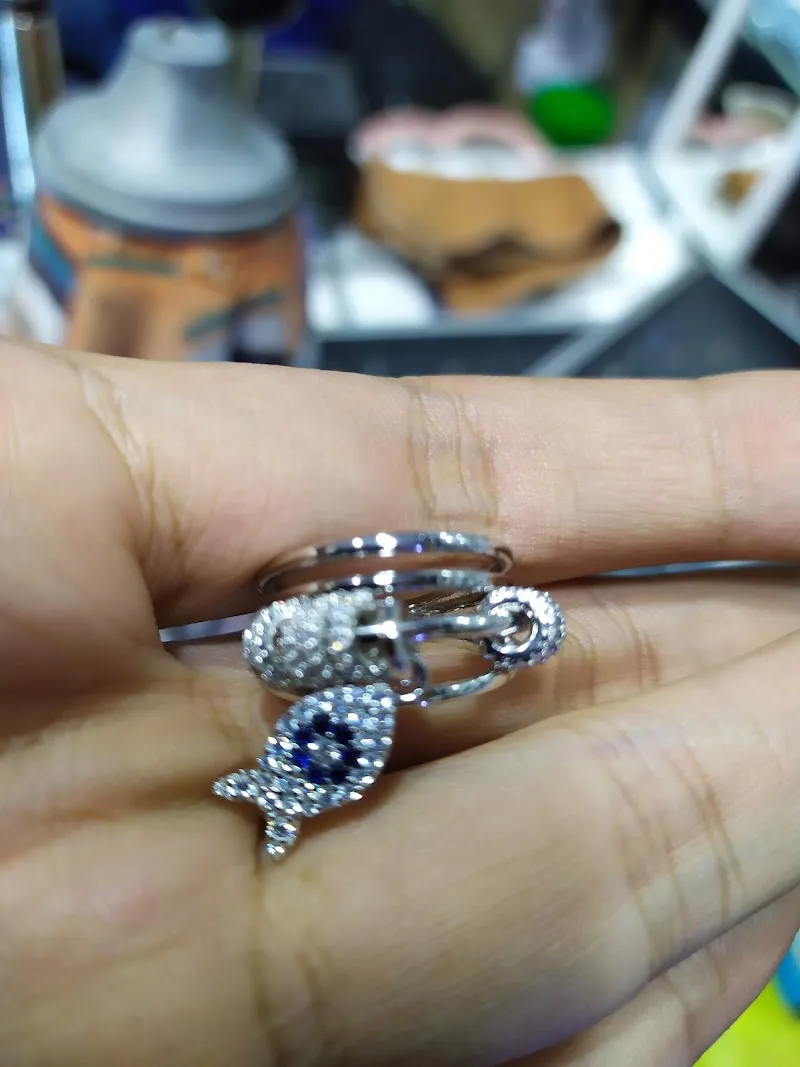 Amera Silver - Photo 1