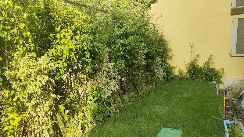 مشتل الشروق النموجي - Photo 1