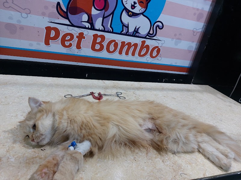Pet Bombo "pet shop & clinic " Dr Noha Salem