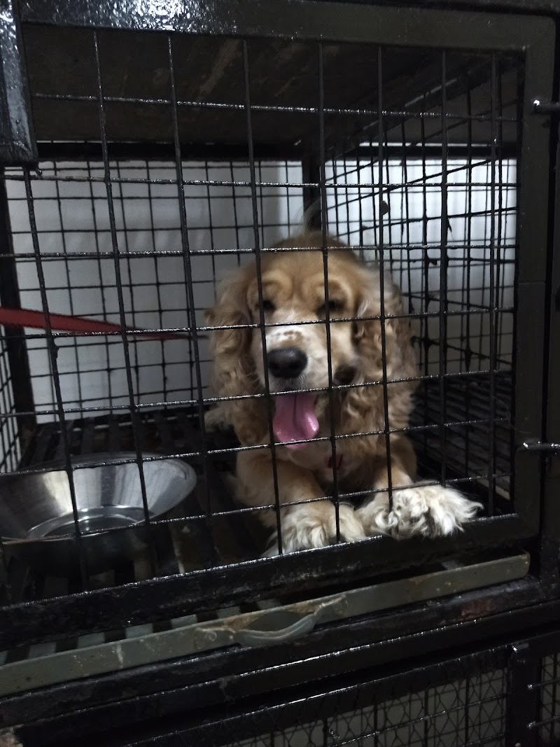 عيادة الاقبال البيطرية - Photo 2