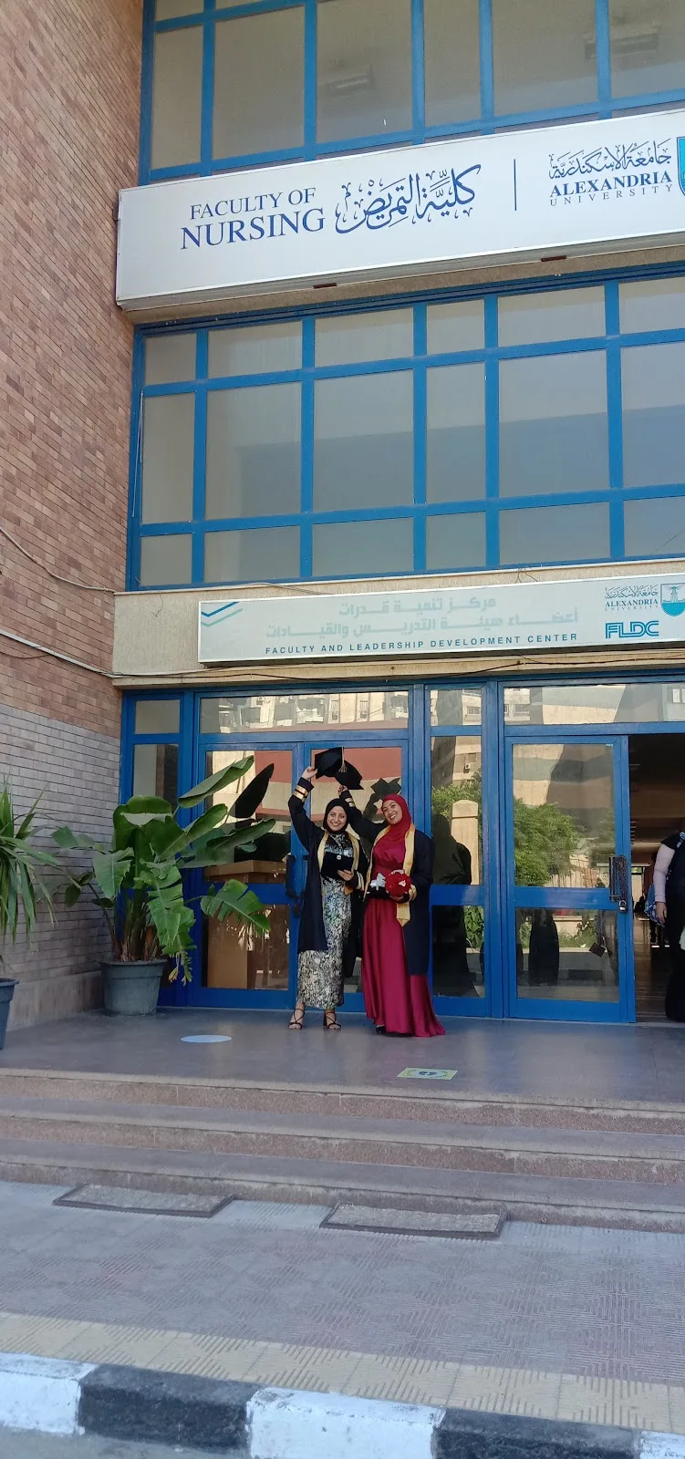 مركز تنمية قدرات اعضاء هيئة التدريس والقيادات - جامعة الاسكندريه - صورة 3