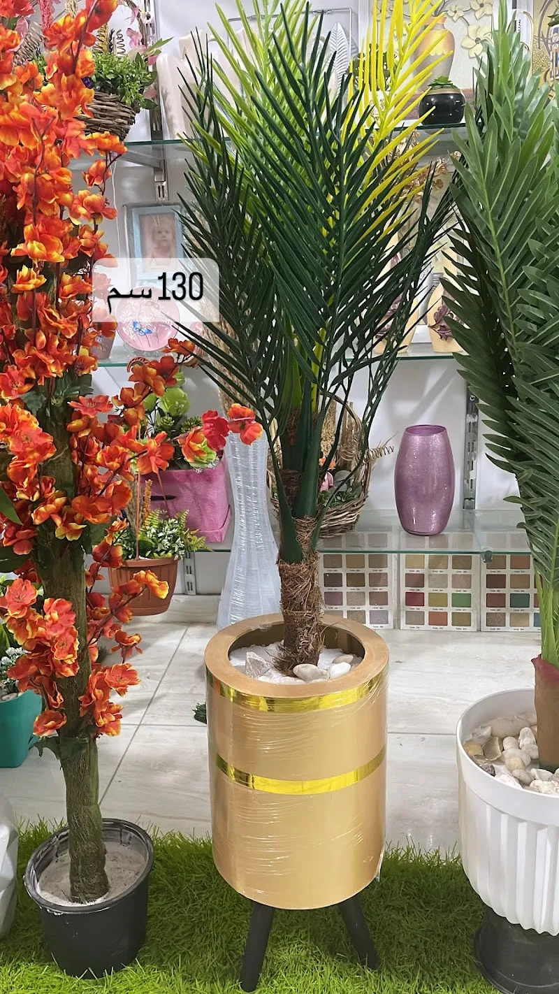 مشتل دمياط الجديده ماسه فلور - Photo 2