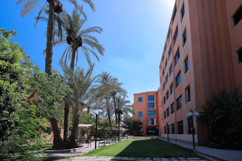 Higher Institutes City