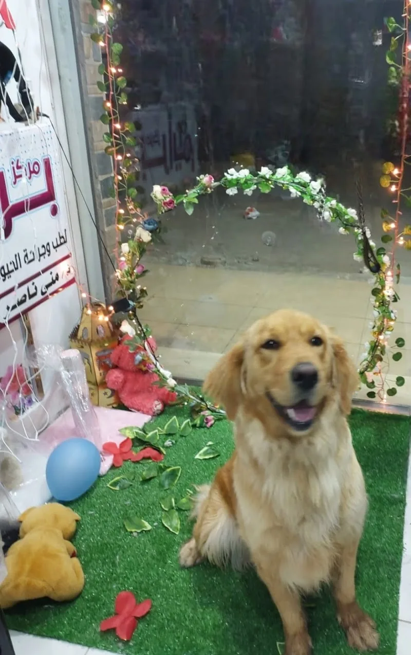 مركز برايم لعلاج الحيوانات الأليفة والطيور - Photo 2