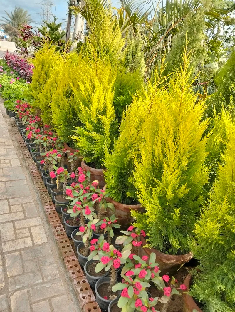 مشتل الاسكندريه - Photo 2