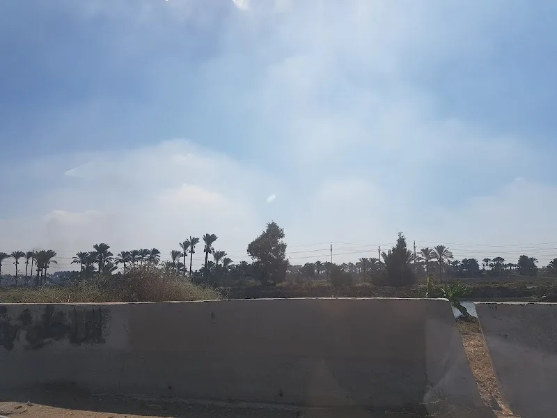 مشتل الزهور مدخل جمصه المنصوره - Photo 2