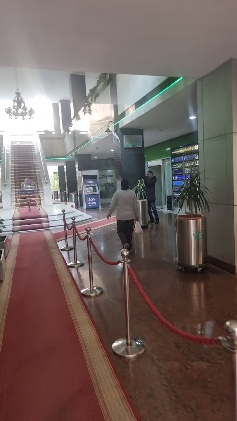 Ever Green - Photo 1