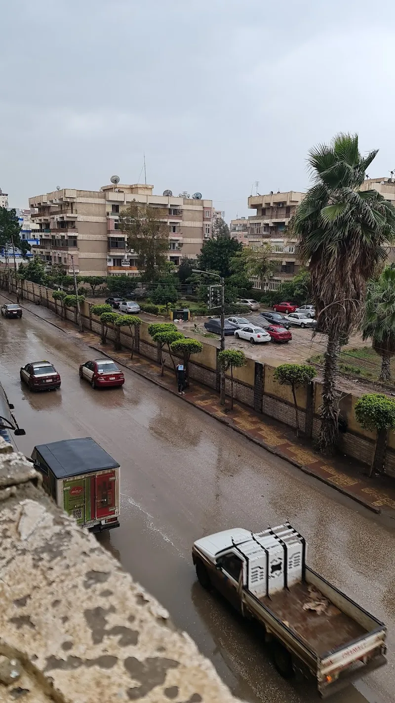 وكالة ميديا قنصل للتسويق الالكترونى وخدمات البرمجة والتطوير الرقمى