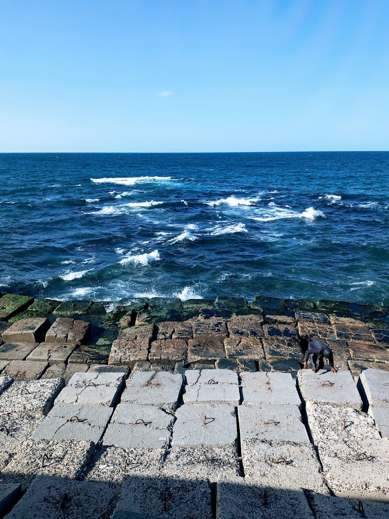 لونا بارك كافيه - صورة 2