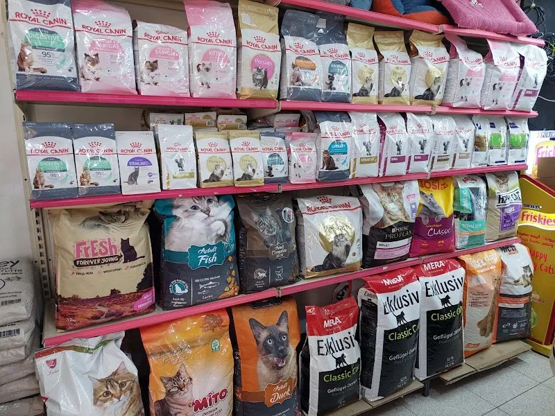 Champion's Pets - صورة 2