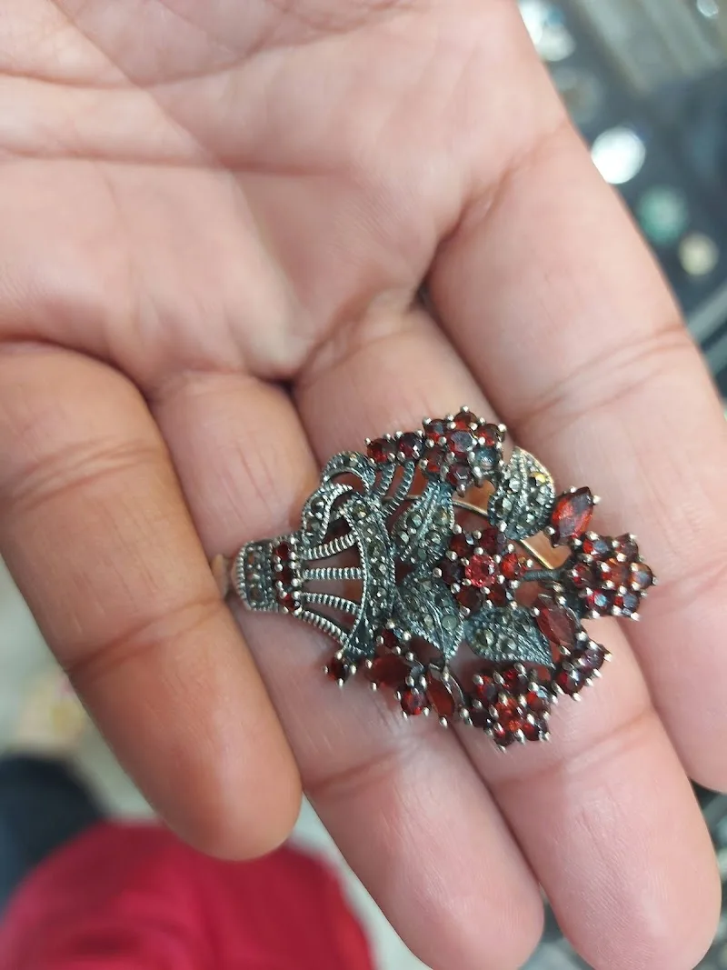 فضيات مصطفى فاروق - Photo 1