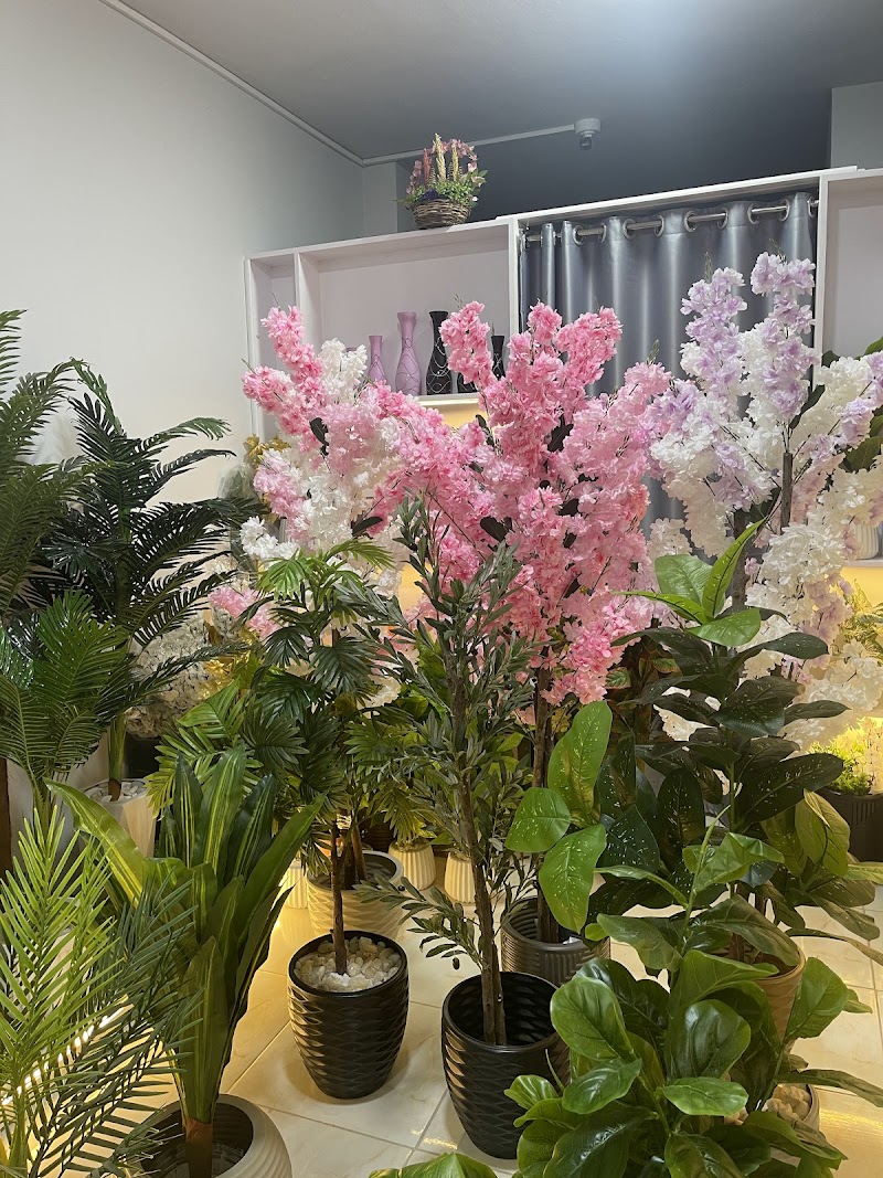 مشتل دمياط الجديده ماسه فلور - Photo 3