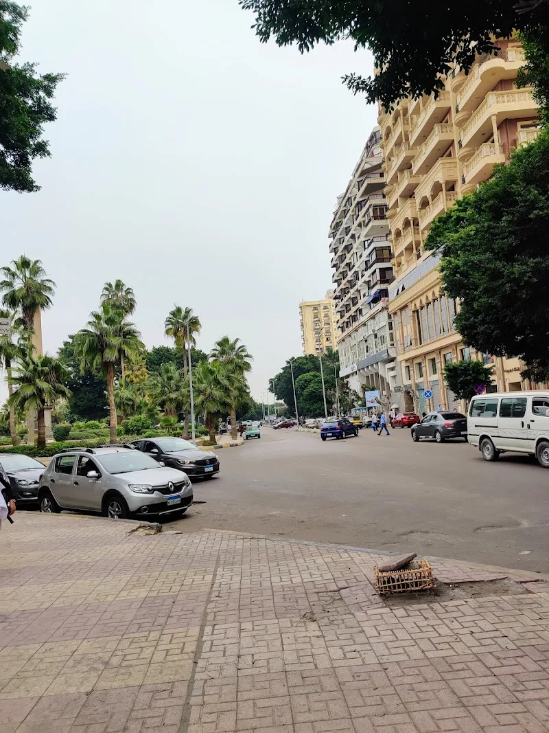 Alexandria University - Photo 3