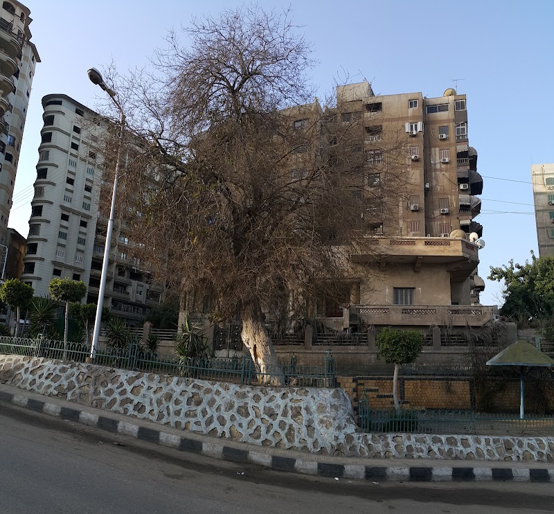 محل زهور ماندو