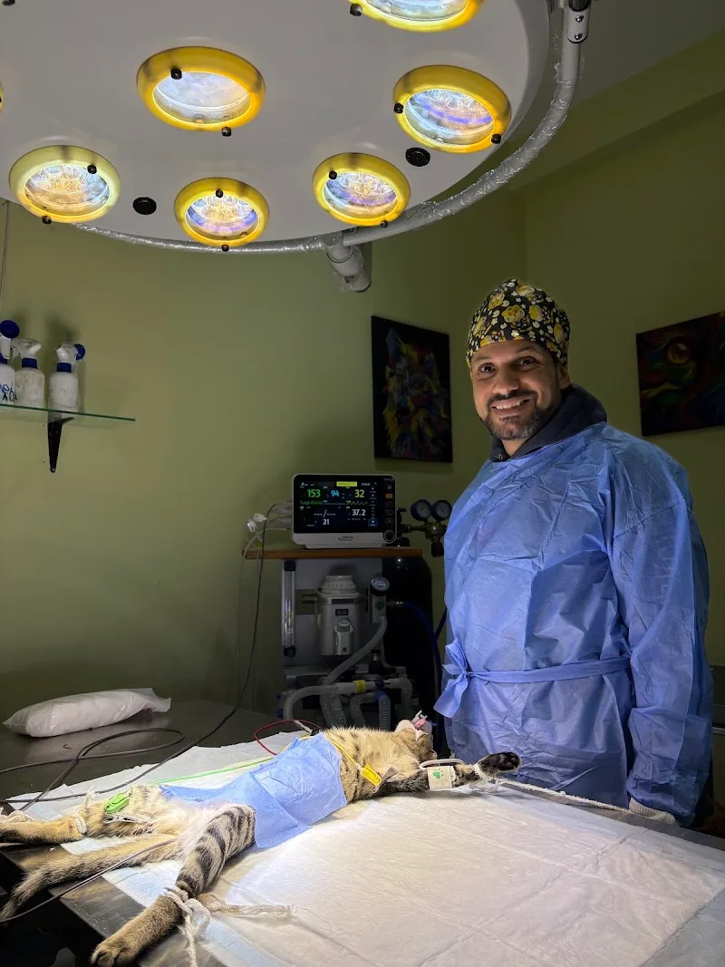 Dr. Vet Clinic - Photo 2