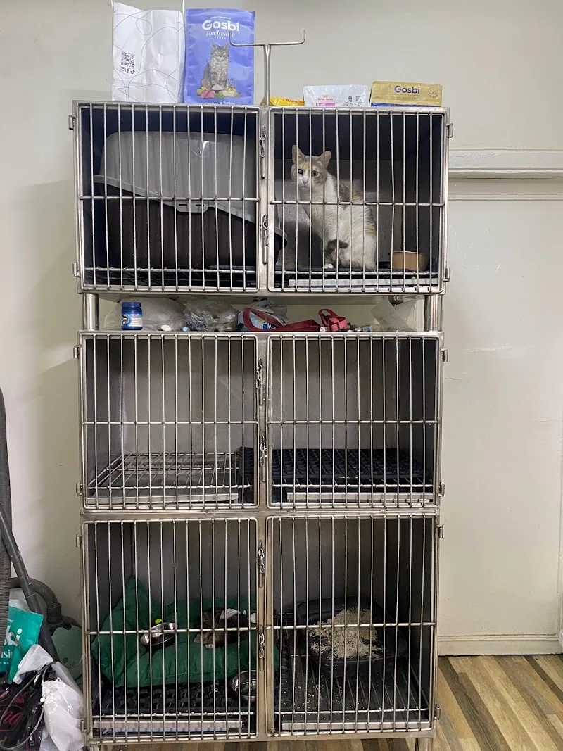 Legacy Pets Clinic - صورة 3
