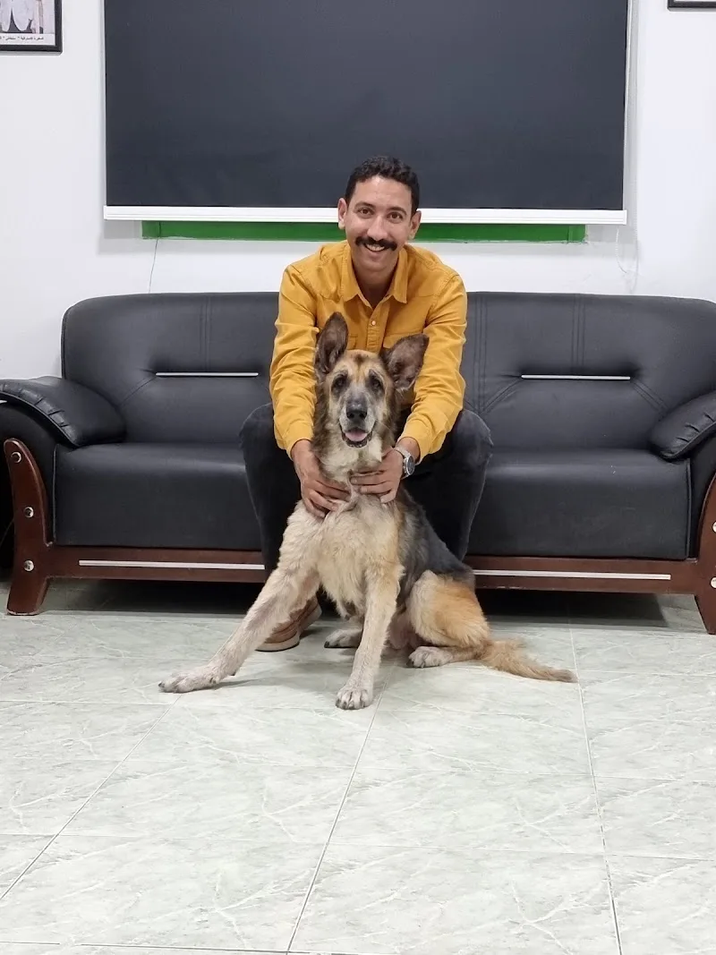 American Vet Center- المركز الأمريكي لطب وجراحه الحيوان