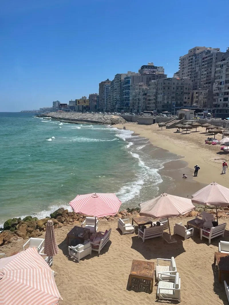 BRANZINO - صورة 2